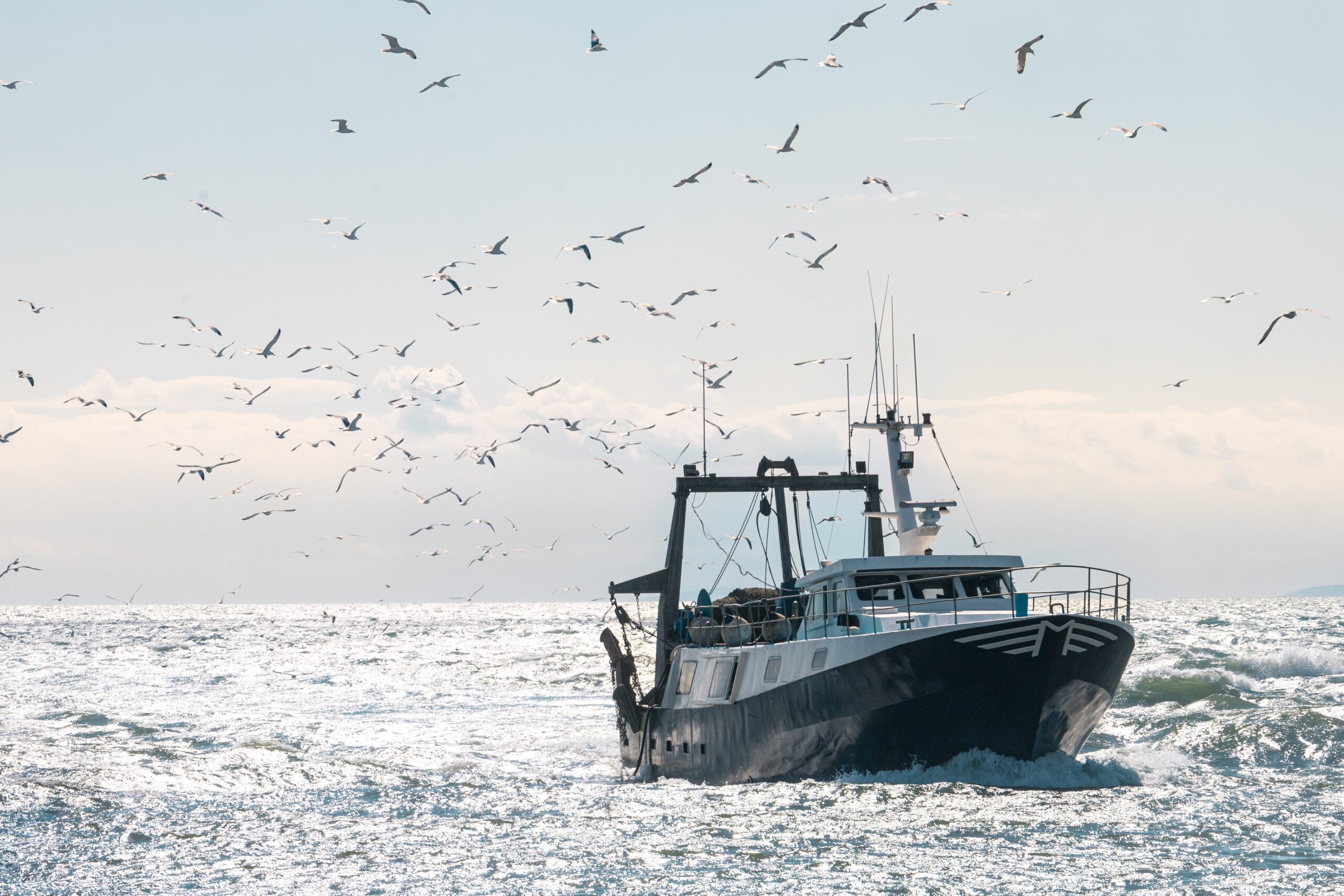 EBFA calls for balanced marine policies that protect both oceans and fishers